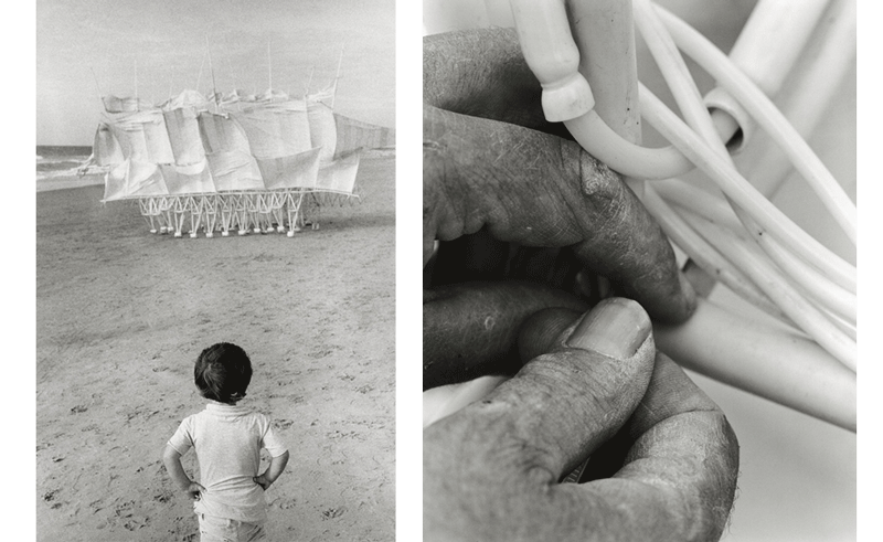 Left: Boy and Animaris Plaudens Vela (2013). Right: Hands of Theo Jansen, Delft, The Netherlands (2010). © 2014 Lena Herzog