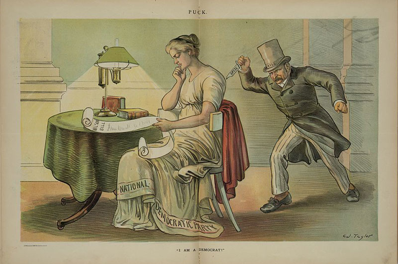 From Puck magazine, April 25, 1894. Print shows David B. "Hill" holding a knife labeled "Spite" and sneaking up behind a woman labeled "National Democratic Party" who is sitting at a table, reading a paper labeled "Wilson Bill".