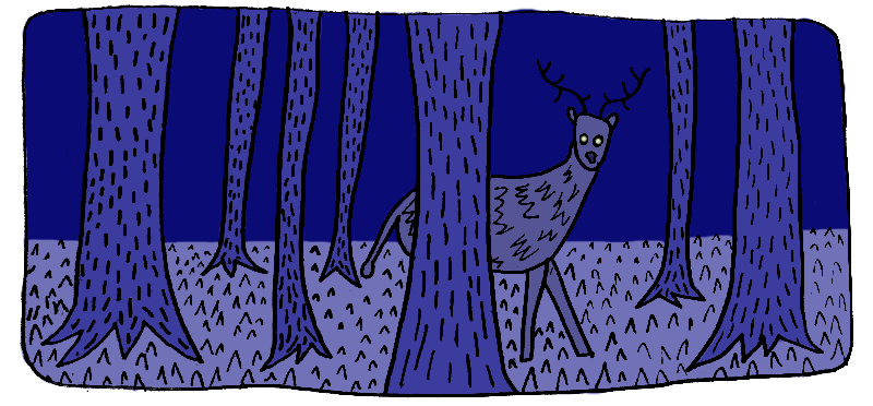 deer in dark forest