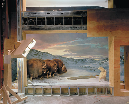 Gallery: The art and science of museum dioramas